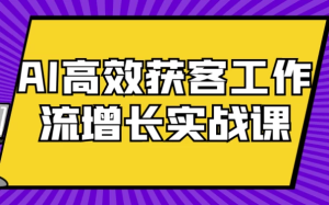AI高效获客工作流增长实战课-财仔梦想资源网