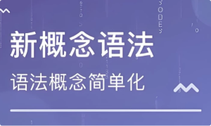 新东方新概念语法精讲-财仔梦想资源网