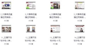 电商单品运营型主播必修课-财仔梦想资源网
