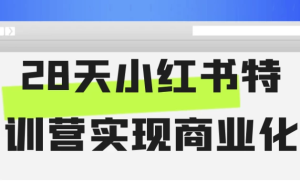 28天小红书特训营实现商业化-财仔梦想资源网
