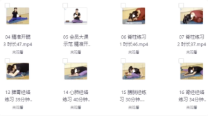 景瑶阴瑜伽初级精进教培20课-财仔梦想资源网