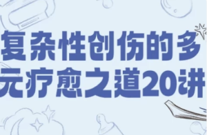复杂性创伤的多元疗愈之道20讲-财仔梦想资源网