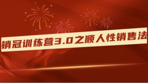 销冠训练营3.0之顺人性销售法-财仔梦想资源网