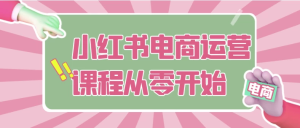 小红书电商运营课程从零开始-财仔梦想资源网