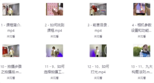 朱慧慧技术流手机摄影教程-财仔梦想资源网