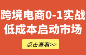 跨境电商0-1实战低成本启动市场-财仔梦想资源网