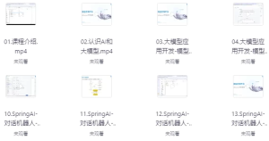 SpringAI+DeepSeek大模型应用开发实战教程-财仔梦想资源网