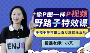 野路子特效课|像P图一样“P”视频-财仔梦想资源网