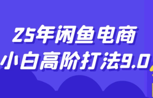 25年闲鱼电商小白高阶打法9.0-财仔梦想资源网