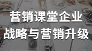 营销课堂企业战略与营销升级-财仔梦想资源网