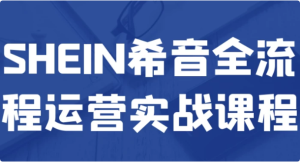 SHEIN希音全流程运营实战课程-财仔梦想资源网