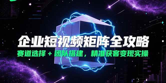 （15242期）企业短视频矩阵全攻略，赛道选择+团队搭建，精准获客变现实操-财仔梦想资源网