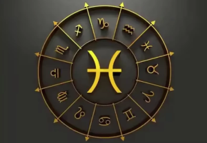 星辰八字教程（基础+进阶）-财仔梦想资源网