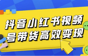 抖音小红书视频号带货高效变现-财仔梦想资源网