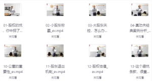 宋俊生全套股权设计高管课（含股权方案工具包）-财仔梦想资源网