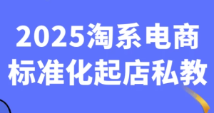 2025淘系电商标准化起店私教-财仔梦想资源网