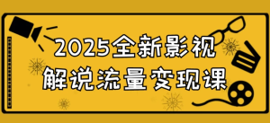 2025全新影视解说流量变现课-财仔梦想资源网