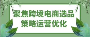 聚焦跨境电商选品策略运营优化-财仔梦想资源网