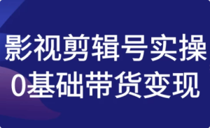 影视剪辑号实操0基础带货变现-财仔梦想资源网