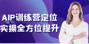 AIP训练营定位实操全方位提升-财仔梦想资源网
