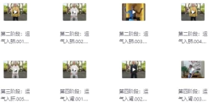 陆天龙极龄呼吸法21天养生营-财仔梦想资源网