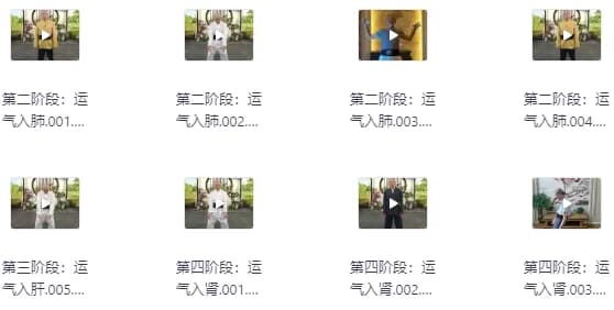 陆天龙极龄呼吸法21天养生营-财仔梦想资源网