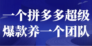一个拼多多超级爆款养一个团队-财仔梦想资源网