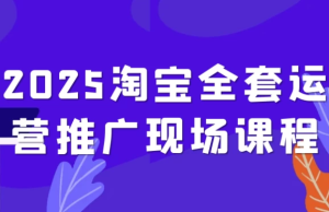 2025淘宝全套运营推广现场课程-财仔梦想资源网