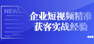 企业短视频精准获客实战经验-财仔梦想资源网
