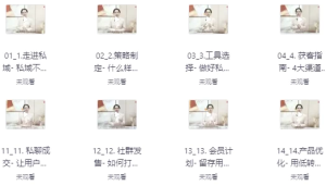 私域致胜，从0到1搭建客户成交体系-财仔梦想资源网