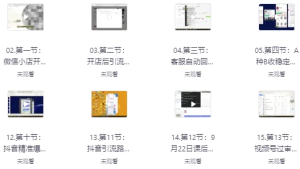 大健康私域打粉课-财仔梦想资源网