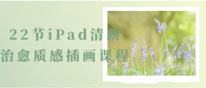 22节iPad清新治愈质感插画课程-财仔梦想资源网