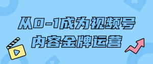 从0-1成为视频号内容金牌运营-财仔梦想资源网
