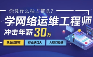 网络安全+运维工程师课程-财仔梦想资源网