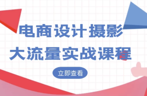 电商设计摄影大流量实战课程-财仔梦想资源网