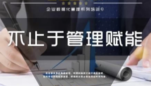 企业管理数据分析全体系落地培训-财仔梦想资源网