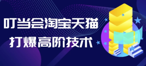 叮当会淘宝天猫打爆高阶技术-财仔梦想资源网