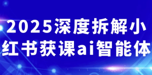 2025深度拆解小红书获课ai智能体-财仔梦想资源网