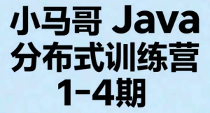 小马哥Java分布式训练营1-4期-财仔梦想资源网