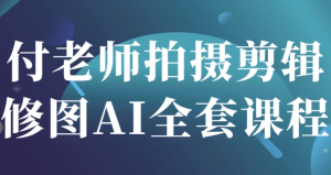 付老师拍摄剪辑修图AI全套课程-财仔梦想资源网