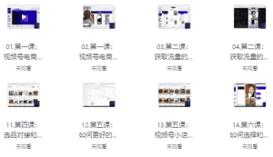 视频号微信豆直播打品陪跑营（十三期）-财仔梦想资源网