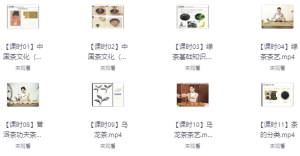 茶艺全套课程合集-财仔梦想资源网