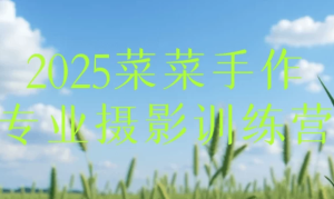 2025菜菜手作专业摄影训练营-财仔梦想资源网