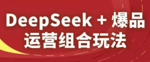 DeepSeek+爆品运营组合玩法-财仔梦想资源网