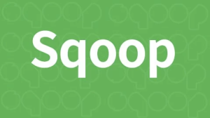 大数据技术之Sqoop–带源码课件-财仔梦想资源网