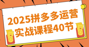 2025拼多多运营实战课程40节-财仔梦想资源网