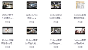 SHEIN希音全流程运营实战课-财仔梦想资源网