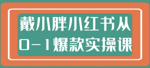 戴小胖小红书从0-1爆款实操课-财仔梦想资源网