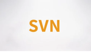 SVN视频课程–带源码课件-财仔梦想资源网