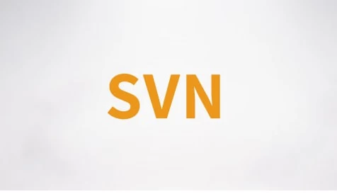 SVN视频课程–带源码课件-财仔梦想资源网